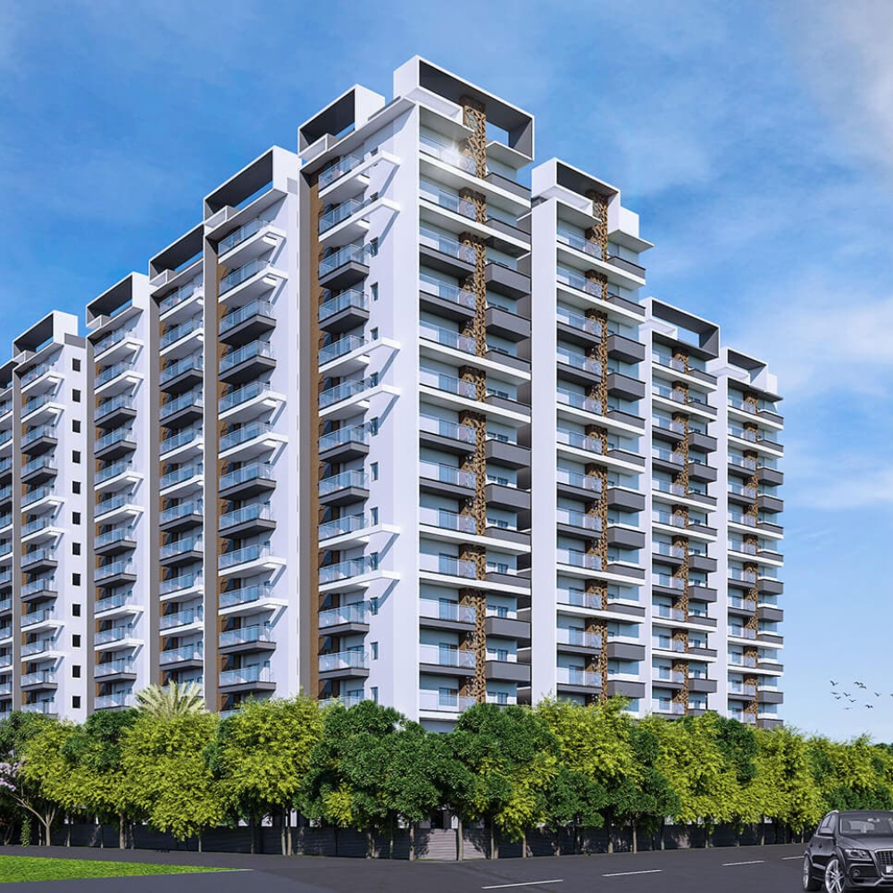 View-2 (1) View-2 (1)